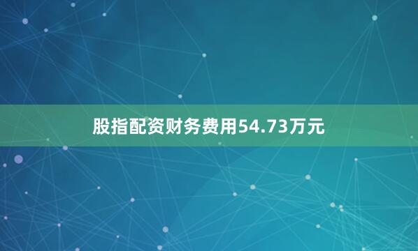 股指配资财务费用54.73万元