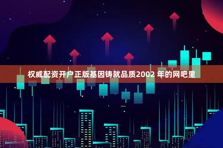 权威配资开户正版基因铸就品质2002 年的网吧里