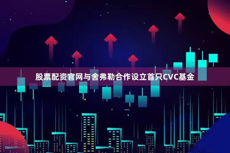 股票配资官网与舍弗勒合作设立首只CVC基金