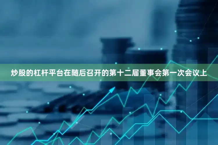 炒股的杠杆平台　　在随后召开的第十二届董事会第一次会议上