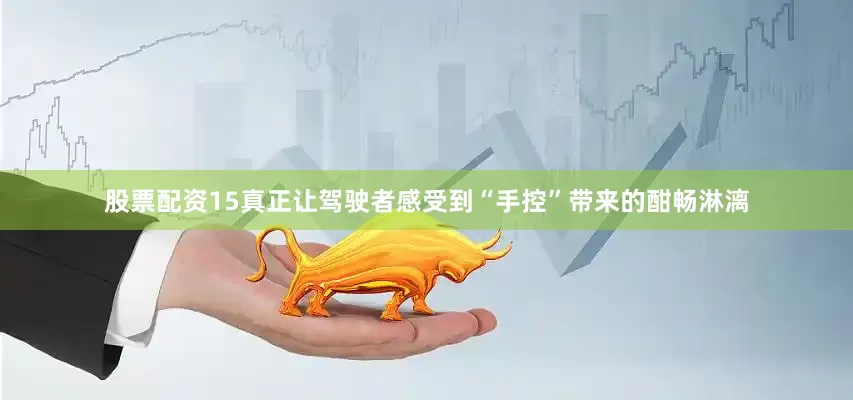 股票配资15真正让驾驶者感受到“手控”带来的酣畅淋漓